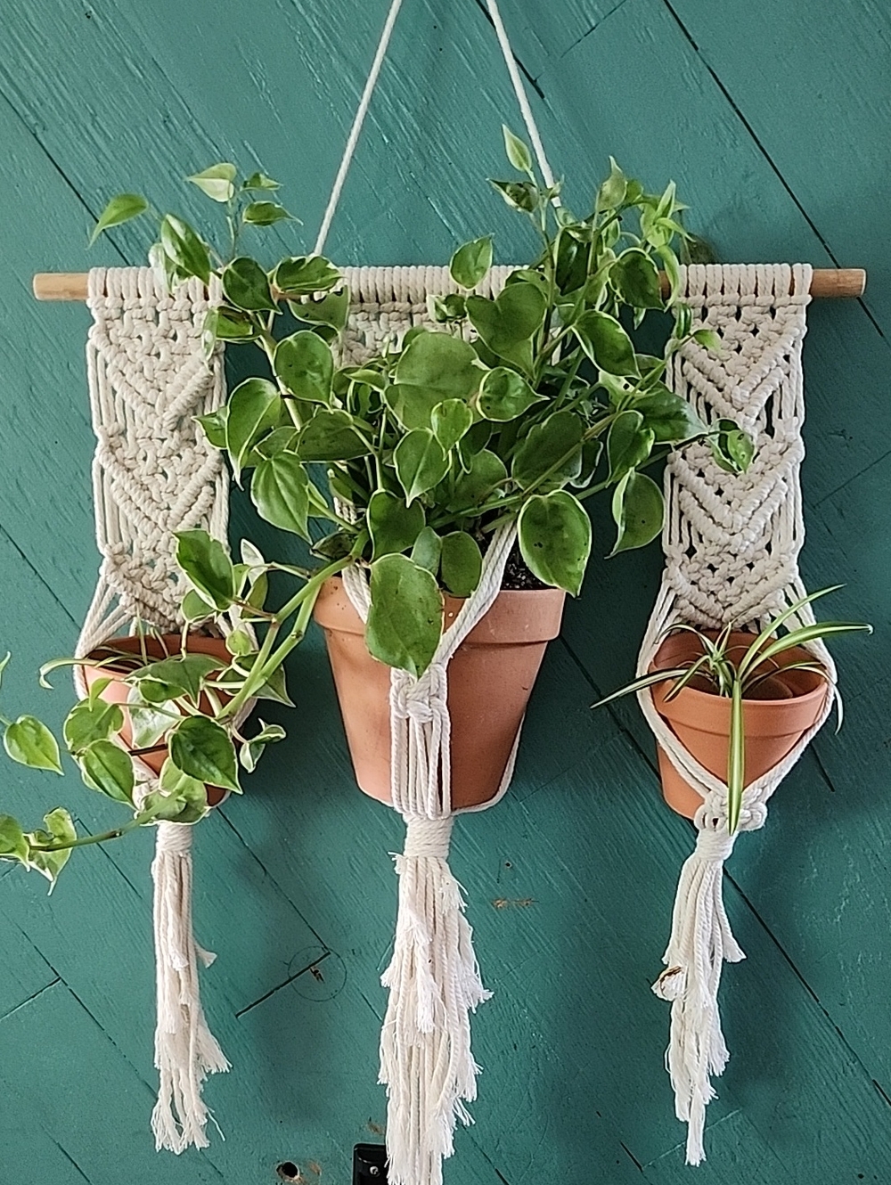 Handmade Medium Macrame Wall Triple Plant Hanger
